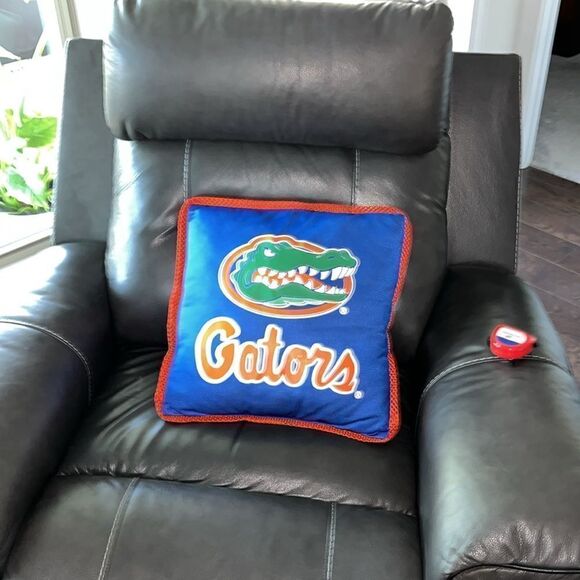 Albert the Florida Gators football Basketball fan style decor soft throw pillow - Picture 1 of 3